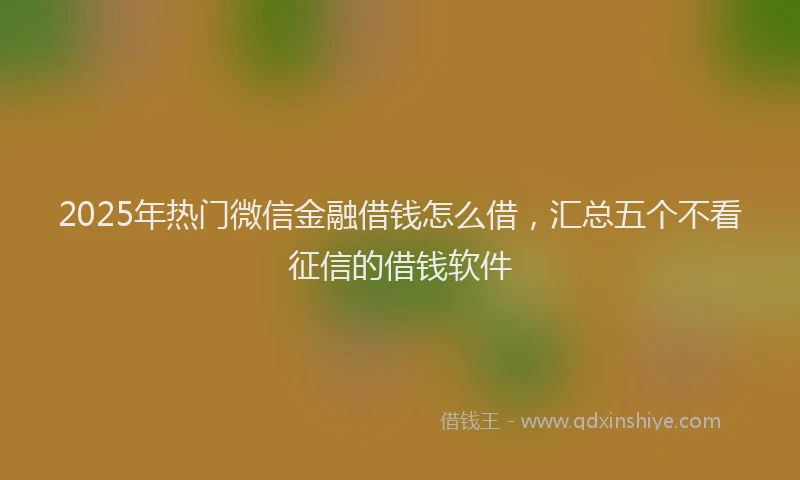 2025年热门微信金融借钱怎么借，汇总五个不看征信的借钱软件