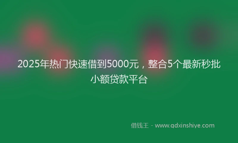 2025年热门快速借到5000元，整合5个最新秒批小额贷款平台