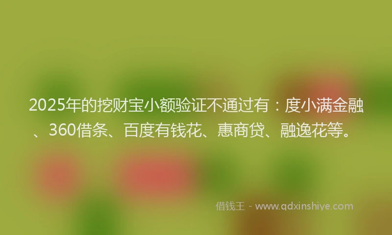 2025年的挖财宝小额验证不通过有：度小满金融、360借条、百度有钱花、惠商贷、融逸花等。