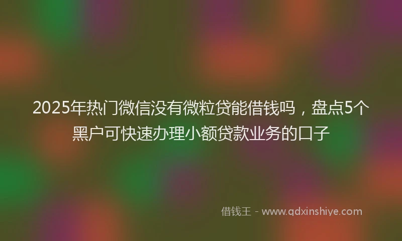 2025年热门微信没有微粒贷能借钱吗，盘点5个黑户可快速办理小额贷款业务的口子