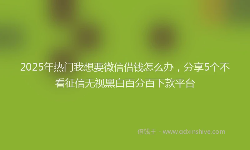 2025年热门我想要微信借钱怎么办，分享5个不看征信无视黑白百分百下款平台