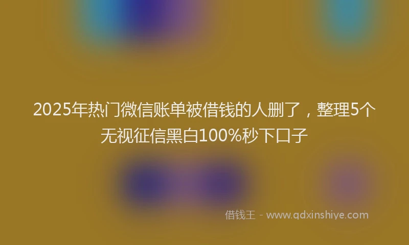 2025年热门微信账单被借钱的人删了，整理5个无视征信黑白100%秒下口子