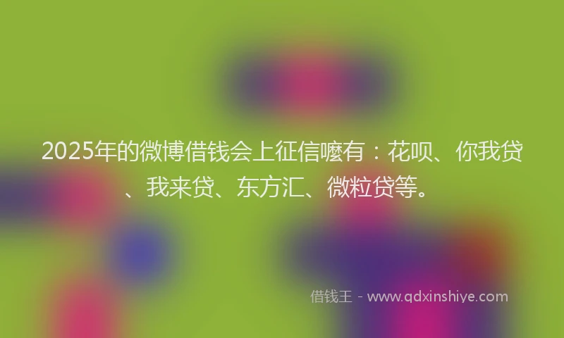 2025年的微博借钱会上征信嚒有：花呗、你我贷、我来贷、东方汇、微粒贷等。
