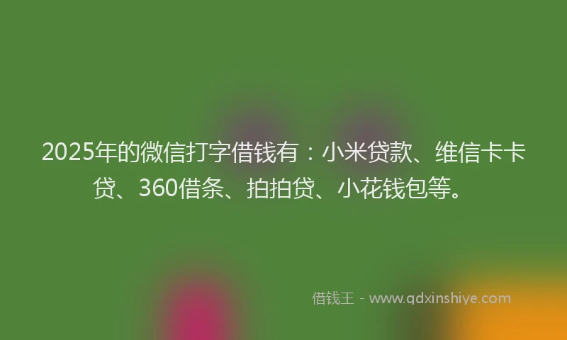 2025年的微信打字借钱有：小米贷款、维信卡卡贷、360借条、拍拍贷、小花钱包等。
