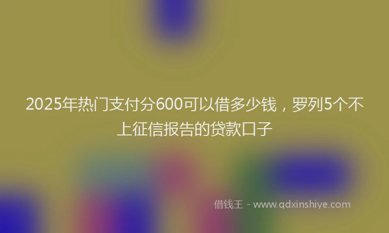 2025年热门支付分600可以借多少钱，罗列5个不上征信报告的贷款口子