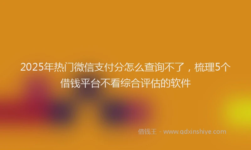 2025年热门微信支付分怎么查询不了，梳理5个借钱平台不看综合评估的软件
