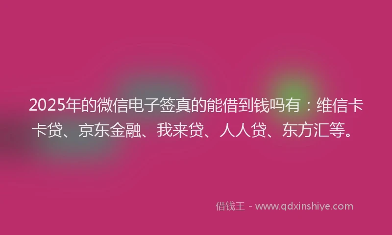 2025年的微信电子签真的能借到钱吗有：维信卡卡贷、京东金融、我来贷、人人贷、东方汇等。
