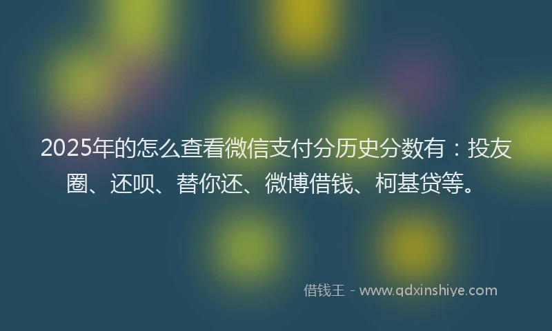 2025年的怎么查看微信支付分历史分数有：投友圈、还呗、替你还、微博借钱、柯基贷等。