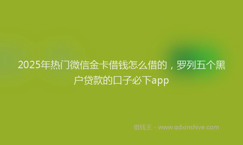 2025年热门微信金卡借钱怎么借的，罗列五个黑户贷款的口子必下app