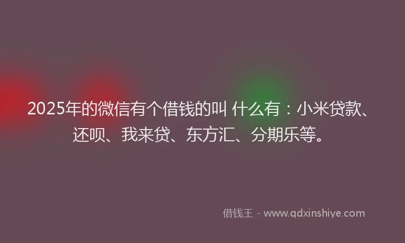 2025年的微信有个借钱的叫 什么有：小米贷款、还呗、我来贷、东方汇、分期乐等。