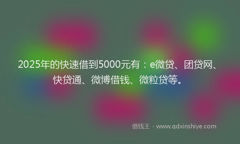 2025年的快速借到5000元有：e微贷、团贷网、快贷通、微博借钱、微粒贷等。