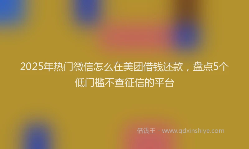 2025年热门微信怎么在美团借钱还款，盘点5个低门槛不查征信的平台