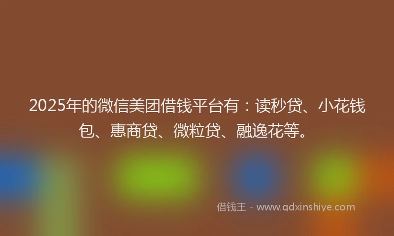 2025年的微信美团借钱平台有：读秒贷、小花钱包、惠商贷、微粒贷、融逸花等。