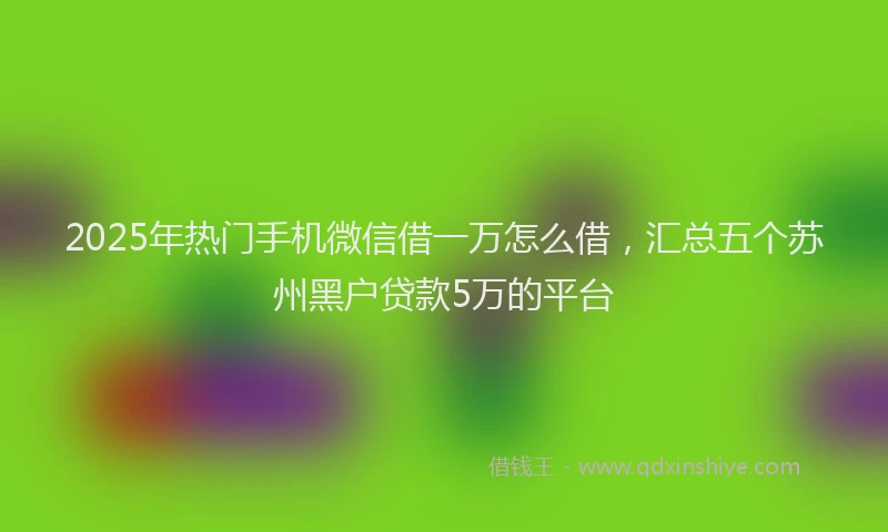 2025年热门手机微信借一万怎么借，汇总五个苏州黑户贷款5万的平台