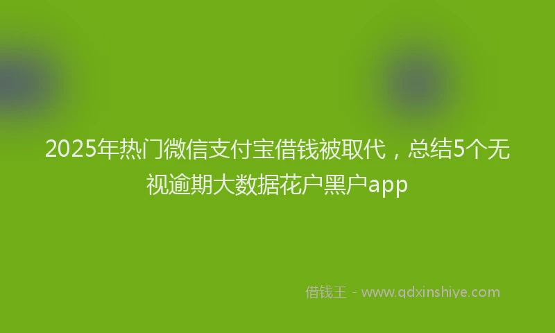 2025年热门微信支付宝借钱被取代，总结5个无视逾期大数据花户黑户app