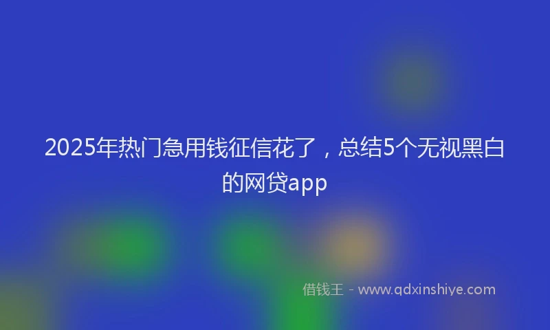 2025年热门急用钱征信花了，总结5个无视黑白的网贷app
