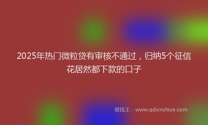 2025年热门微粒贷有审核不通过，归纳5个征信花居然都下款的口子