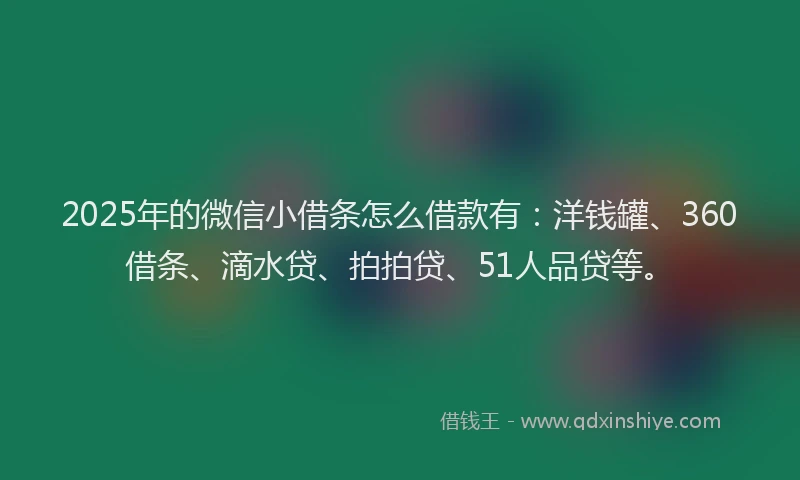 2025年的微信小借条怎么借款有：洋钱罐、360借条、滴水贷、拍拍贷、51人品贷等。