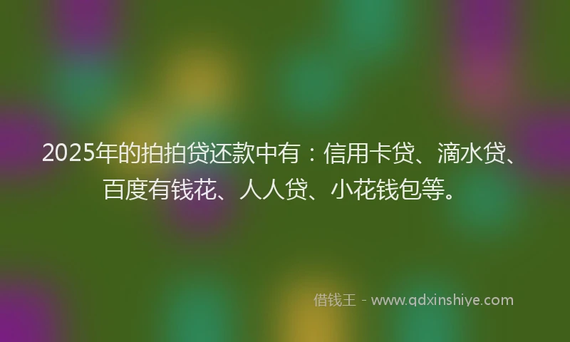 2025年的拍拍贷还款中有：信用卡贷、滴水贷、百度有钱花、人人贷、小花钱包等。