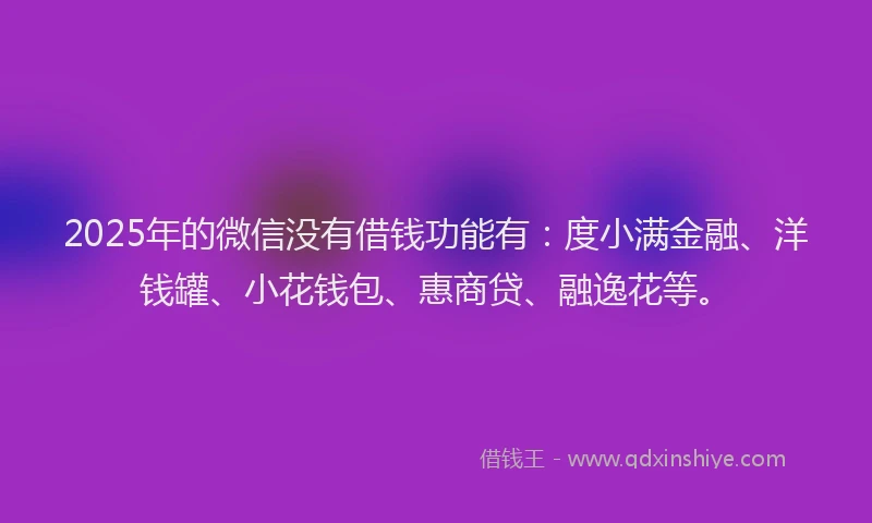 2025年的微信没有借钱功能有：度小满金融、洋钱罐、小花钱包、惠商贷、融逸花等。