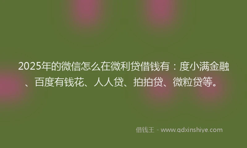 2025年的微信怎么在微利贷借钱有：度小满金融、百度有钱花、人人贷、拍拍贷、微粒贷等。