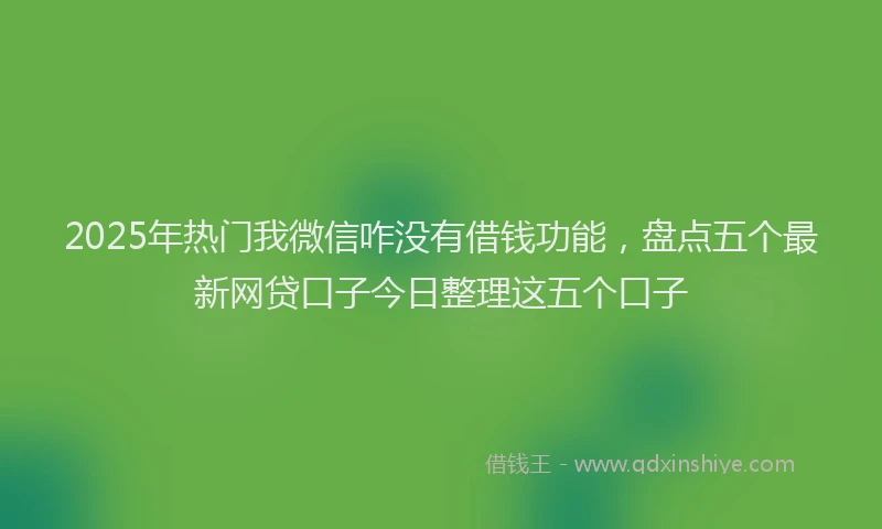 2025年热门我微信咋没有借钱功能，盘点五个最新网贷口子今日整理这五个口子