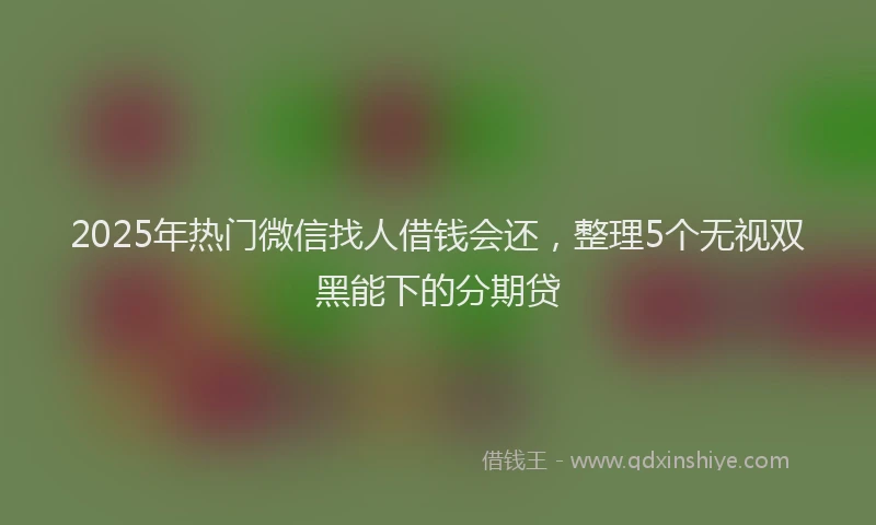 2025年热门微信找人借钱会还，整理5个无视双黑能下的分期贷