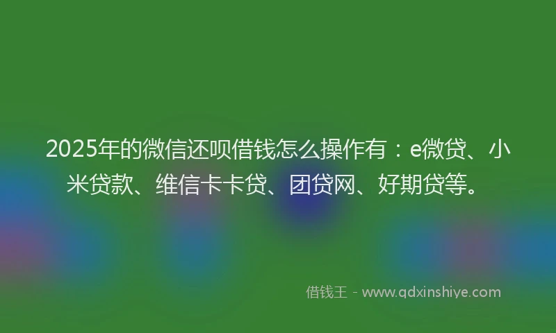 2025年的微信还呗借钱怎么操作有：e微贷、小米贷款、维信卡卡贷、团贷网、好期贷等。