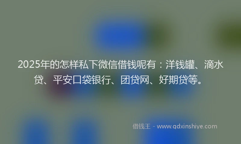 2025年的怎样私下微信借钱呢有：洋钱罐、滴水贷、平安口袋银行、团贷网、好期贷等。