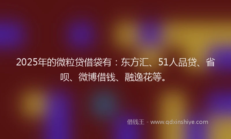 2025年的微粒贷借袋有：东方汇、51人品贷、省呗、微博借钱、融逸花等。