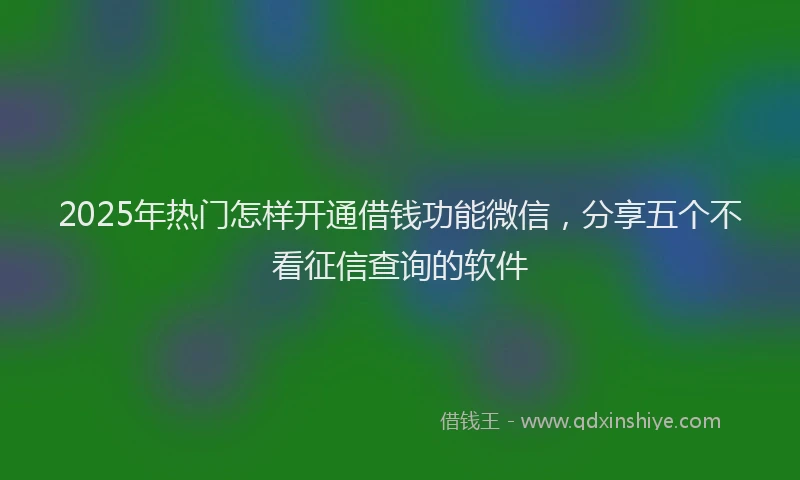 2025年热门怎样开通借钱功能微信，分享五个不看征信查询的软件