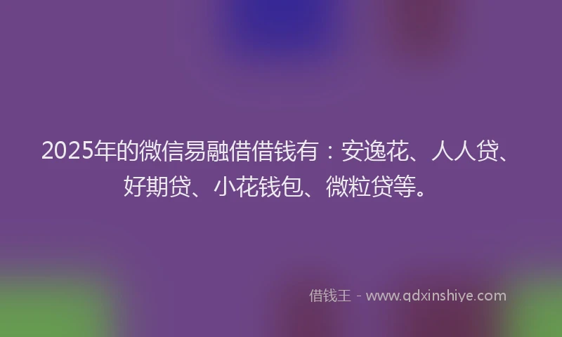 2025年的微信易融借借钱有：安逸花、人人贷、好期贷、小花钱包、微粒贷等。