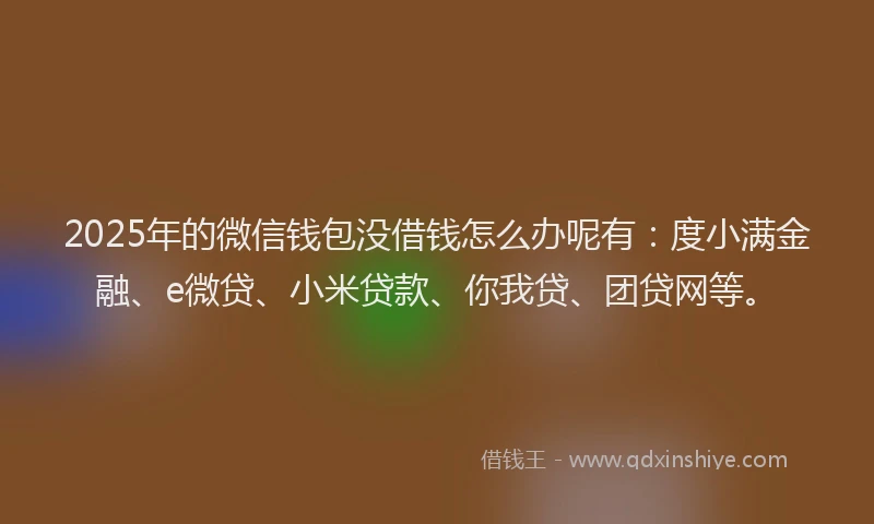 2025年的微信钱包没借钱怎么办呢有：度小满金融、e微贷、小米贷款、你我贷、团贷网等。