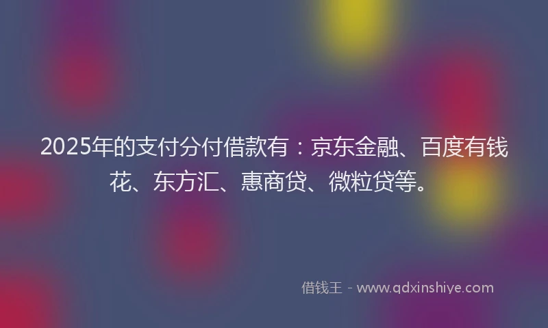 2025年的支付分付借款有：京东金融、百度有钱花、东方汇、惠商贷、微粒贷等。