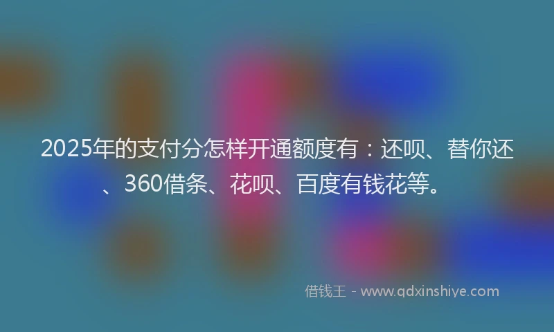 2025年的支付分怎样开通额度有：还呗、替你还、360借条、花呗、百度有钱花等。