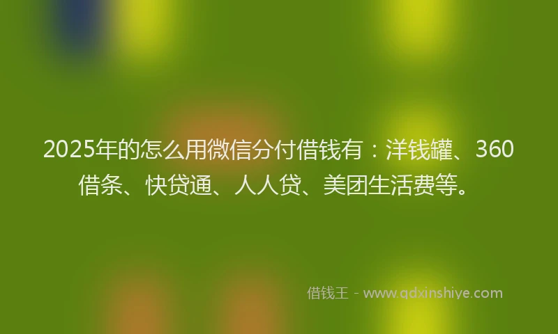 2025年的怎么用微信分付借钱有：洋钱罐、360借条、快贷通、人人贷、美团生活费等。