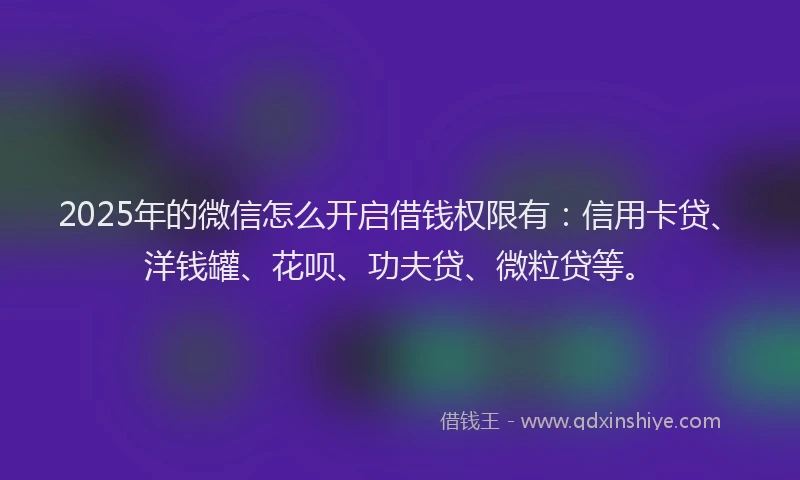 2025年的微信怎么开启借钱权限有：信用卡贷、洋钱罐、花呗、功夫贷、微粒贷等。