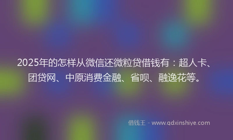 2025年的怎样从微信还微粒贷借钱有：超人卡、团贷网、中原消费金融、省呗、融逸花等。