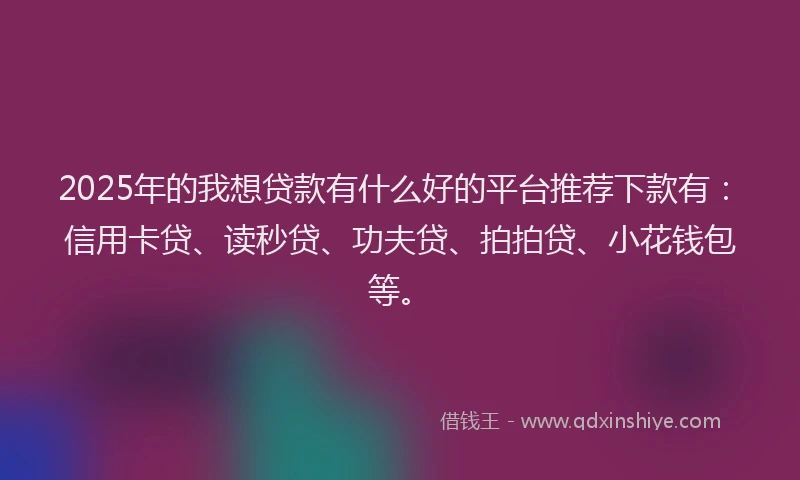 2025年的我想贷款有什么好的平台推荐下款有：信用卡贷、读秒贷、功夫贷、拍拍贷、小花钱包等。