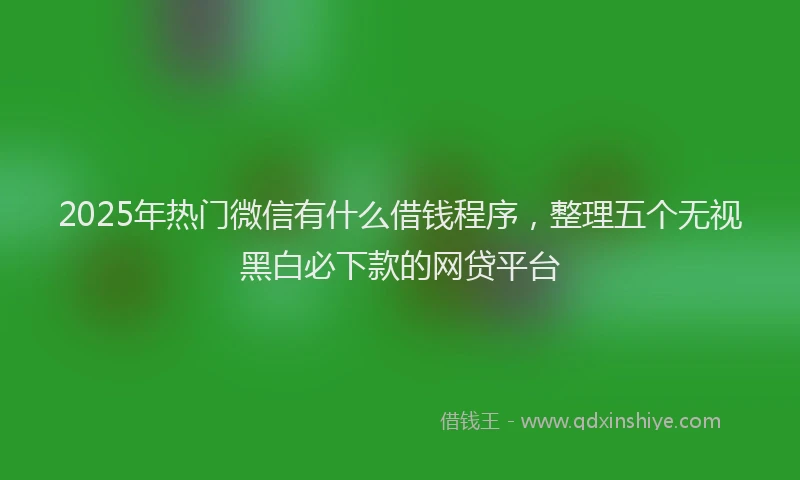 2025年热门微信有什么借钱程序，整理五个无视黑白必下款的网贷平台