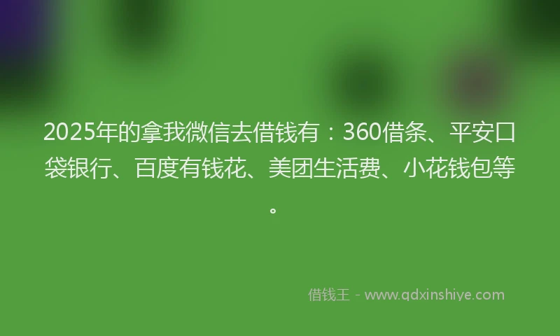 2025年的拿我微信去借钱有：360借条、平安口袋银行、百度有钱花、美团生活费、小花钱包等。