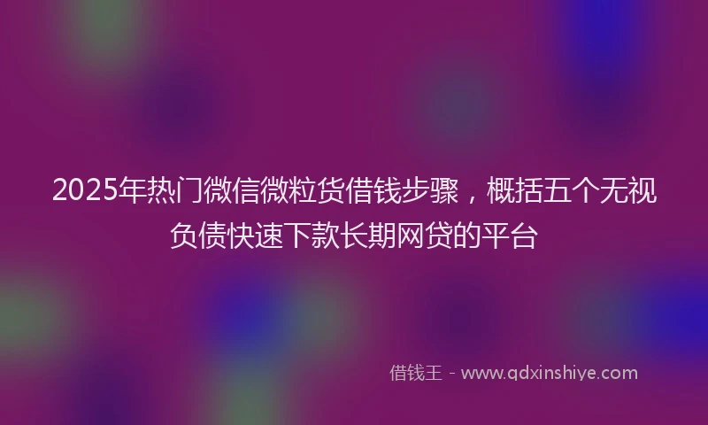 2025年热门微信微粒货借钱步骤，概括五个无视负债快速下款长期网贷的平台