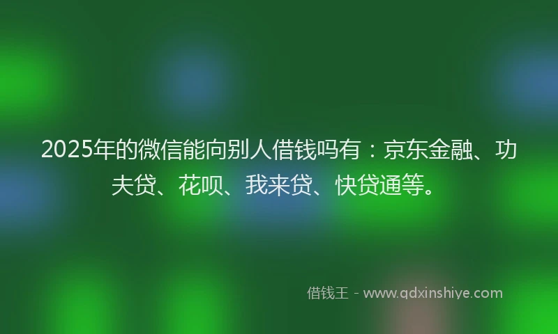 2025年的微信能向别人借钱吗有：京东金融、功夫贷、花呗、我来贷、快贷通等。
