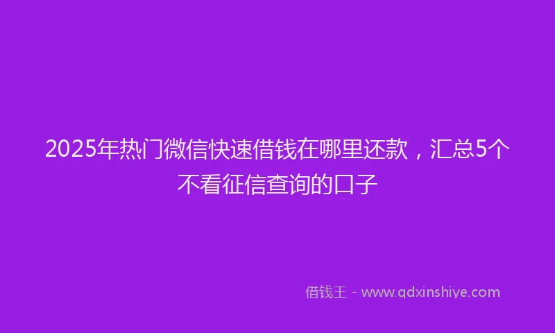 2025年热门微信快速借钱在哪里还款，汇总5个不看征信查询的口子
