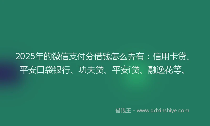 2025年的微信支付分借钱怎么弄有：信用卡贷、平安口袋银行、功夫贷、平安i贷、融逸花等。