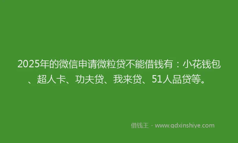 2025年的微信申请微粒贷不能借钱有：小花钱包、超人卡、功夫贷、我来贷、51人品贷等。