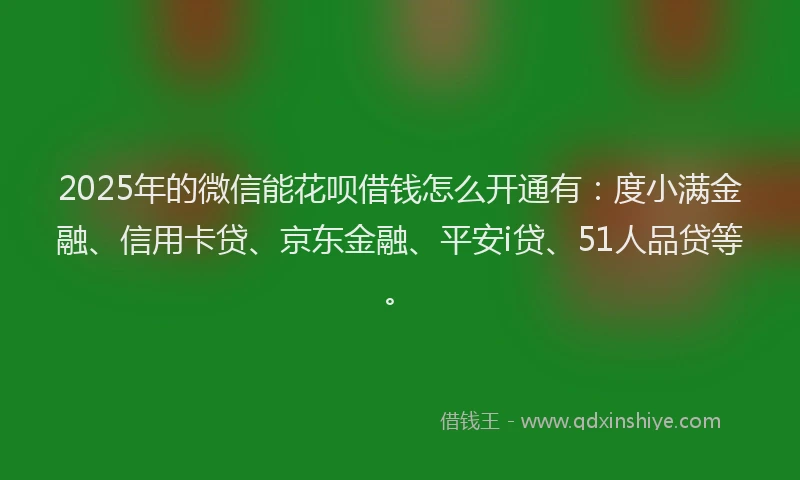 2025年的微信能花呗借钱怎么开通有：度小满金融、信用卡贷、京东金融、平安i贷、51人品贷等。