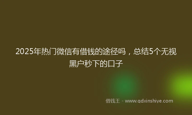 2025年热门微信有借钱的途径吗，总结5个无视黑户秒下的口子