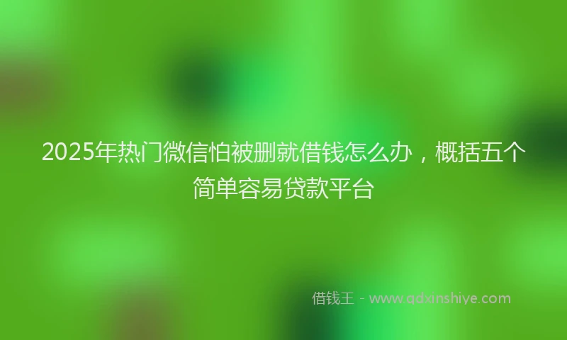2025年热门微信怕被删就借钱怎么办，概括五个简单容易贷款平台
