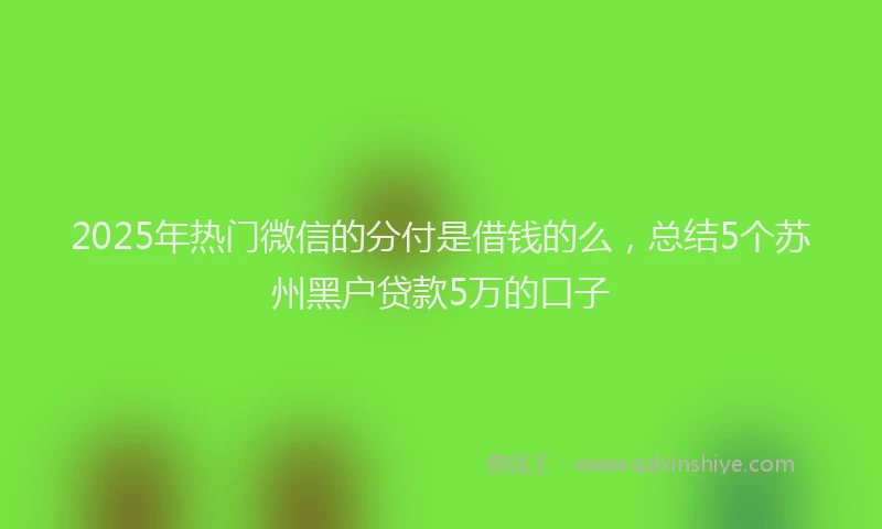 2025年热门微信的分付是借钱的么，总结5个苏州黑户贷款5万的口子